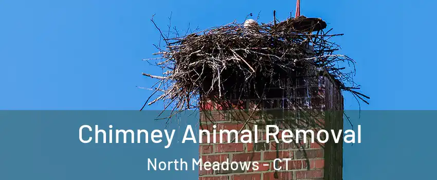 Chimney Animal Removal North Meadows - CT