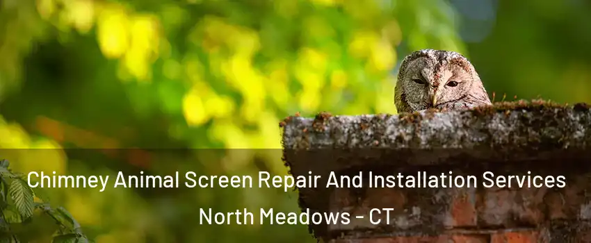 Chimney Animal Screen Repair And Installation Services North Meadows - CT