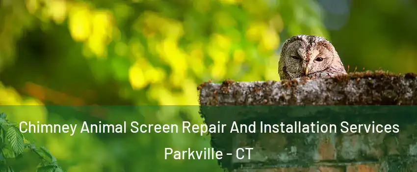 Chimney Animal Screen Repair And Installation Services Parkville - CT