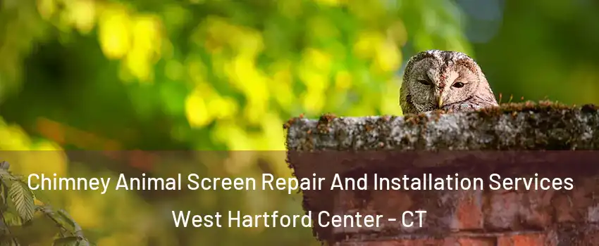 Chimney Animal Screen Repair And Installation Services West Hartford Center - CT