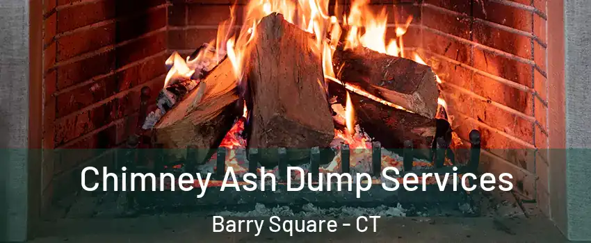 Chimney Ash Dump Services Barry Square - CT