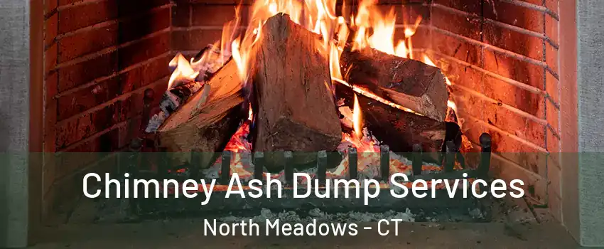 Chimney Ash Dump Services North Meadows - CT