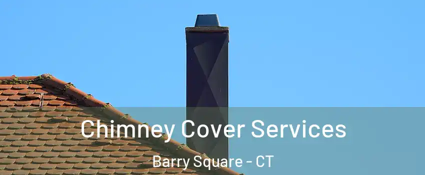 Chimney Cover Services Barry Square - CT