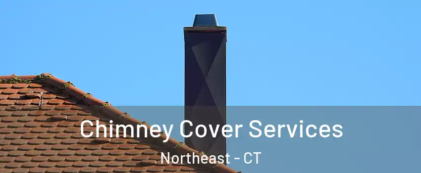 Chimney Cover Services Northeast - CT