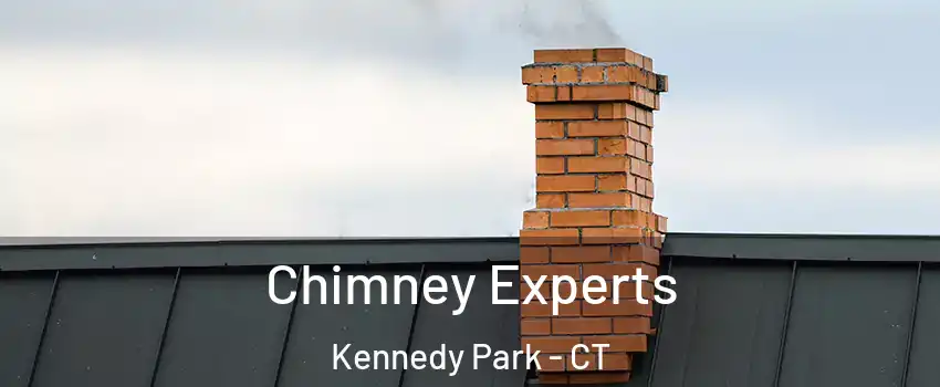 Chimney Experts Kennedy Park - CT