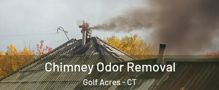 Chimney Odor Removal Golf Acres - CT