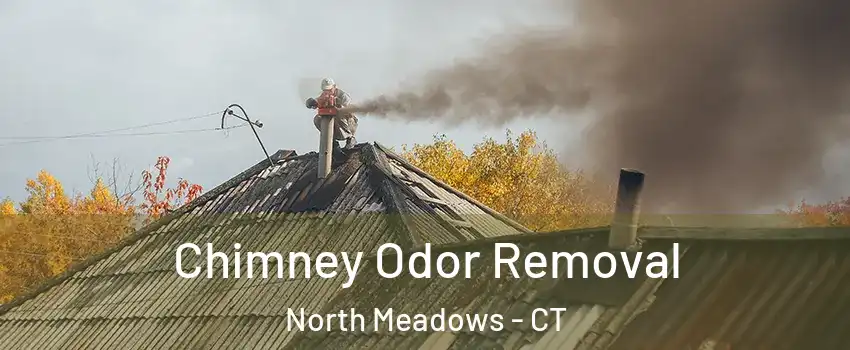 Chimney Odor Removal North Meadows - CT