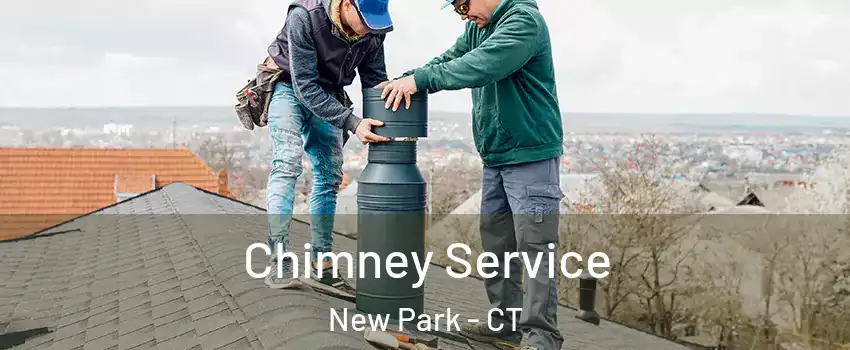 Chimney Service New Park - CT