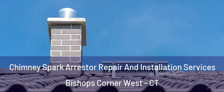Chimney Spark Arrestor Repair And Installation Services Bishops Corner West - CT
