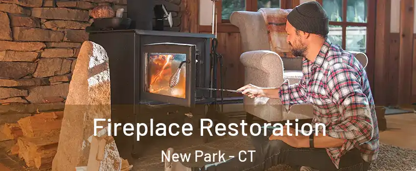 Fireplace Restoration New Park - CT