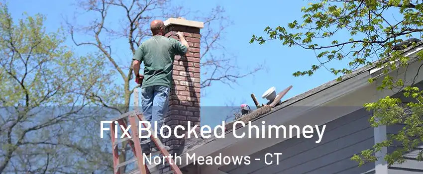 Fix Blocked Chimney North Meadows - CT