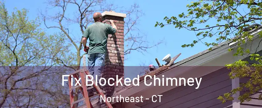Fix Blocked Chimney Northeast - CT