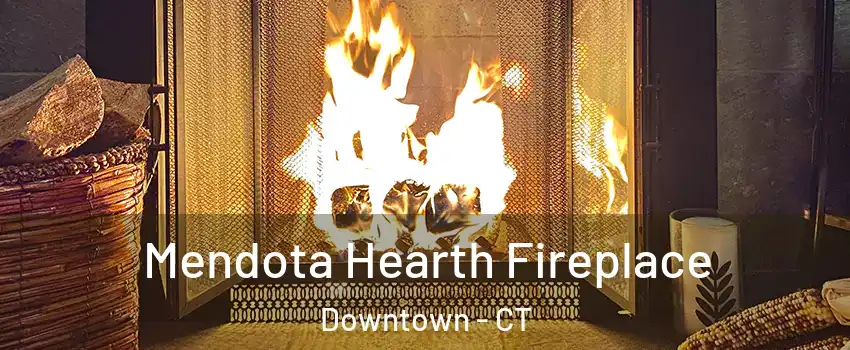 Mendota Hearth Fireplace Downtown - CT