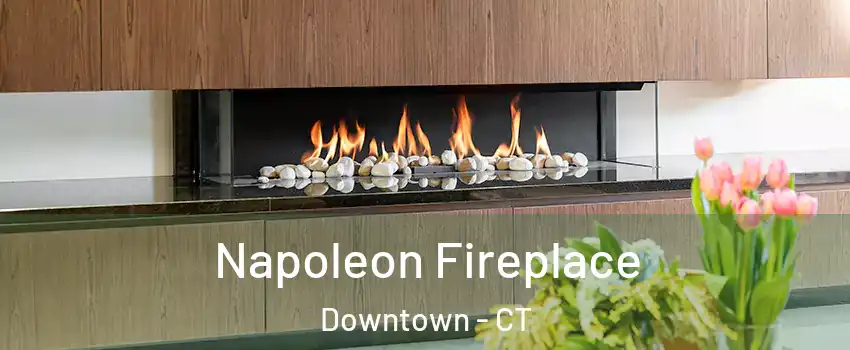 Napoleon Fireplace Downtown - CT