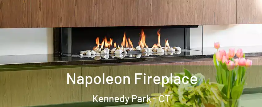 Napoleon Fireplace Kennedy Park - CT