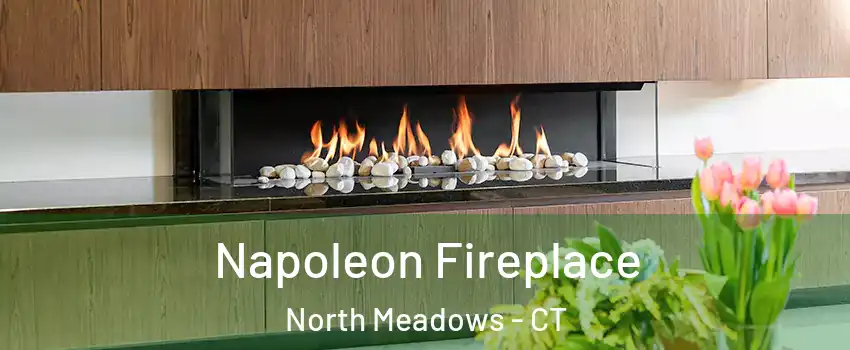 Napoleon Fireplace North Meadows - CT