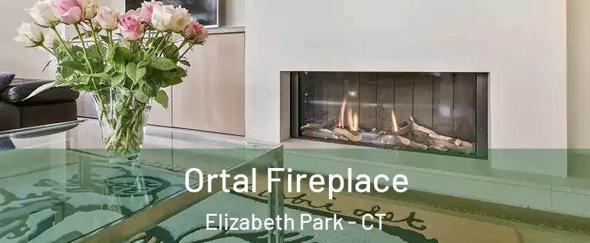 Ortal Fireplace Elizabeth Park - CT
