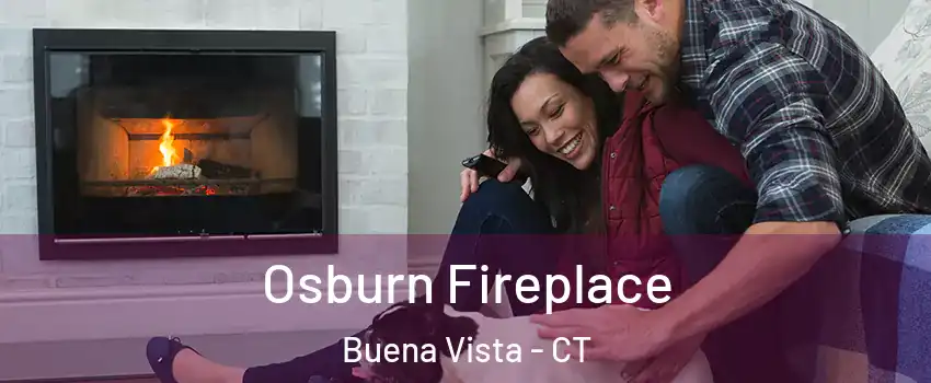 Osburn Fireplace Buena Vista - CT