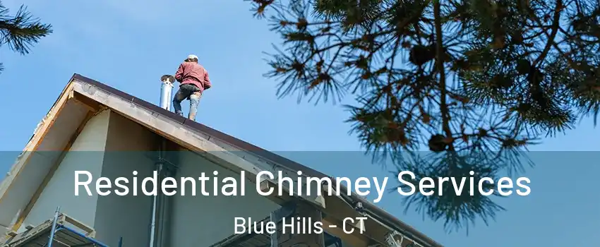 Residential Chimney Services Blue Hills - CT