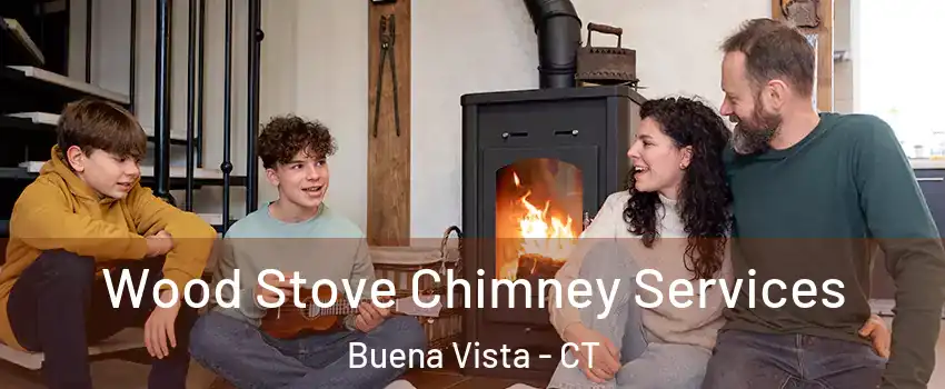 Wood Stove Chimney Services Buena Vista - CT